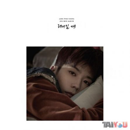 Jang Woo Young (2PM) - Break Up - Mini Album Vol.2