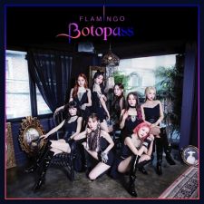 BOTOPASS - Flamingo - Single Album Vol.1