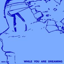 NEW LINK - While You Are Dreaming