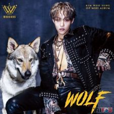 Kim Woo Sung (THE ROSE) - Kim Woo Sung - Wolf - 1st Mini Album