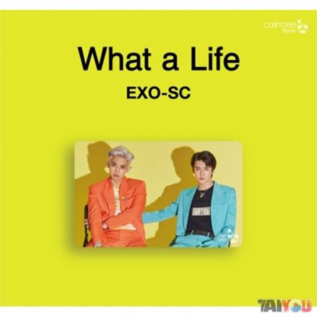 Carte de transport - EXO-SC