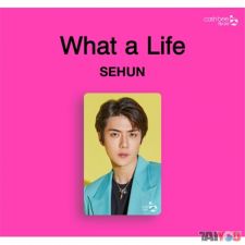 Carte de transport - Sehun (EXO-SC)