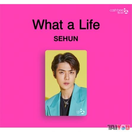 Carte de transport - Sehun (EXO-SC)