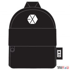 Airpod Pouch - EXO