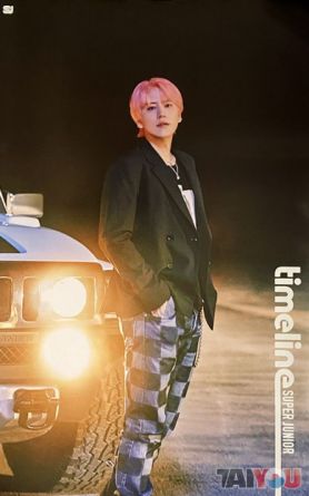 Poster Officiel - Super Junior - TIMELINE - Kyuhyun