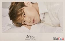 Poster officiel - Sungmin (Super Junior) - Orgel - Version A