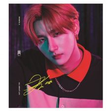 MONSTA X - All About Luv (Full Art - I.M - Standard Casemade Book 2)