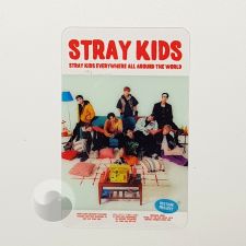 Carte transparente - Stray Kids [B-5]