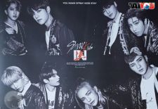 Poster Officiel - STRAY KIDS - IN生 - Album Repackage - Ver. 2