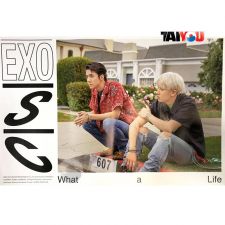 Poster Officiel - EXO-SC - [KIHNO] What A Life