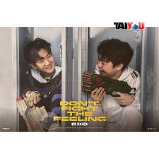 Poster Officiel - EXO - DON'T FIGHT THE FEELING (ExpansionVer.) - Ver. Baek hyun + Xiumin