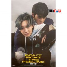 Poster Officiel - EXO - DON'T FIGHT THE FEELING (Expansion Ver.) - Ver. Chanyeol + D.O