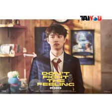 Poster Officiel - EXO - DON'T FIGHT THE FEELING (Expansion Ver.) - Ver. D.O