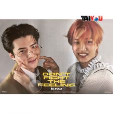 Poster Officiel - EXO - DON'T FIGHT THE FEELING (Expansion Ver.) - Ver. Sehun + Kai