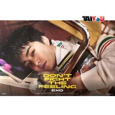 Poster Officiel - EXO - DON'T FIGHT THE FEELING (Expansion Ver.) - Ver. Xiumin
