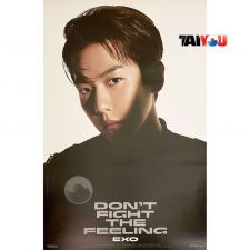 Poster Officiel - EXO - DON'T FIGHT THE FEELING (Jewel Case Ver.) - Ver. Baekhyun