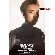 Poster Officiel - EXO - DON'T FIGHT THE FEELING (Jewel Case Ver.) - Ver. Chanyeol
