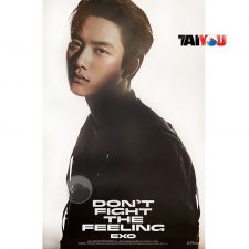 Poster Officiel - EXO - DON'T FIGHT THE FEELING (Jewel Case Ver.) - Ver. D.O
