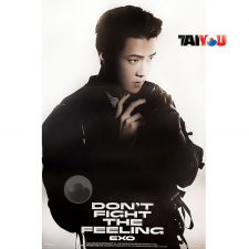 Poster Officiel - EXO - DON'T FIGHT THE FEELING (Jewel Case Ver.) - Ver. Sehun