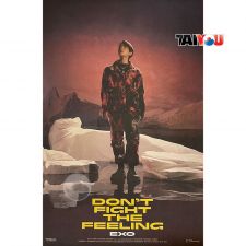 Poster Officiel - EXO - DON'T FIGHT THE FEELING (PHOTOBOOK Ver.1) - Ver. Baekhyun