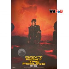 Poster Officiel - EXO - DON'T FIGHT THE FEELING (PHOTOBOOK Ver.1) - Ver. D.O