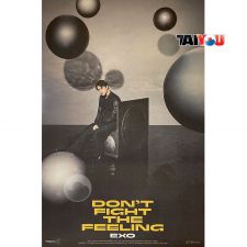 Poster Officiel - EXO - DON'T FIGHT THE FEELING (PHOTOBOOK Ver.1) - Ver. Sehun