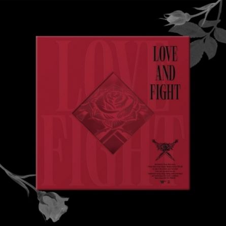 RAVI - LOVE AND FIGHT - Album Vol.2