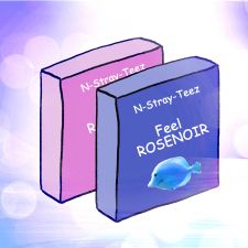 NSTRAYTEEZ - Feel RoseNoir - 1st Full Album