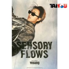 Poster Officiel - Yesung (Super Junior) - Sensory Flows - DAY 2 ver.