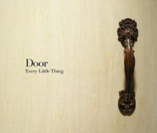 Every Little Thing - Door [CD+DVD]