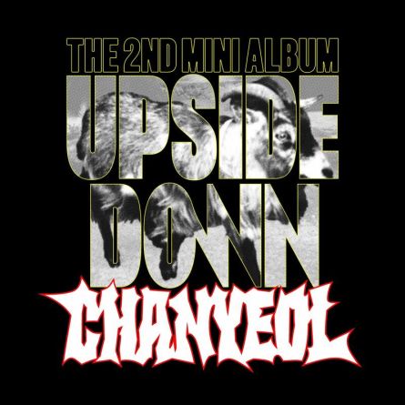Chanyeol (EXO) - Upside Down - Mini Album Vol.2 (Photobook Ver.)