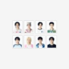 Stray Kids - [dominATE : celebrATE] Merch - ID PHOTO SET