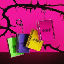 [NFC] TXT - 7th Year : WHEN THE WIND PAUSED AMONG THE THORNS - Album (Photocard Case Ver.)