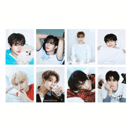 ALPHA DRIVE ONE - DICON ISSUE n&deg;33 : HEARTS GROW ONE (Ver. B)