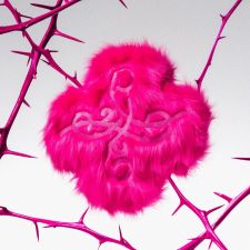 [MD] TXT - 7th Year : WHEN THE WIND PAUSED AMONG THE THORNS - Album (CUSHION OF THORNS Ver.)