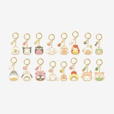 Stray Kids - SKZOO x SANRIO CHARACTERS - Metal Keyring