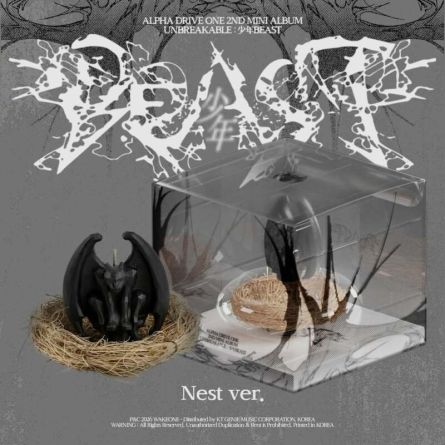 [LIMITED] ALPHA DRIVE ONE - UNBREAKABLE : 少年BEAST - Mini Album Vol.2 (Nest Ver.)