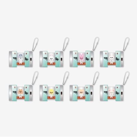 Stray Kids - 'THIS & THAT' POP-UP MD - SKZOO CAPSULE ACRYLIC KEYRING